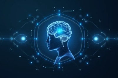 The Invisible Power Drain: Unraveling AI Energy Consumption's True Cost