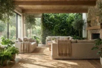 Exploring Biophilic Design: The Science of Bringing Nature Indoors